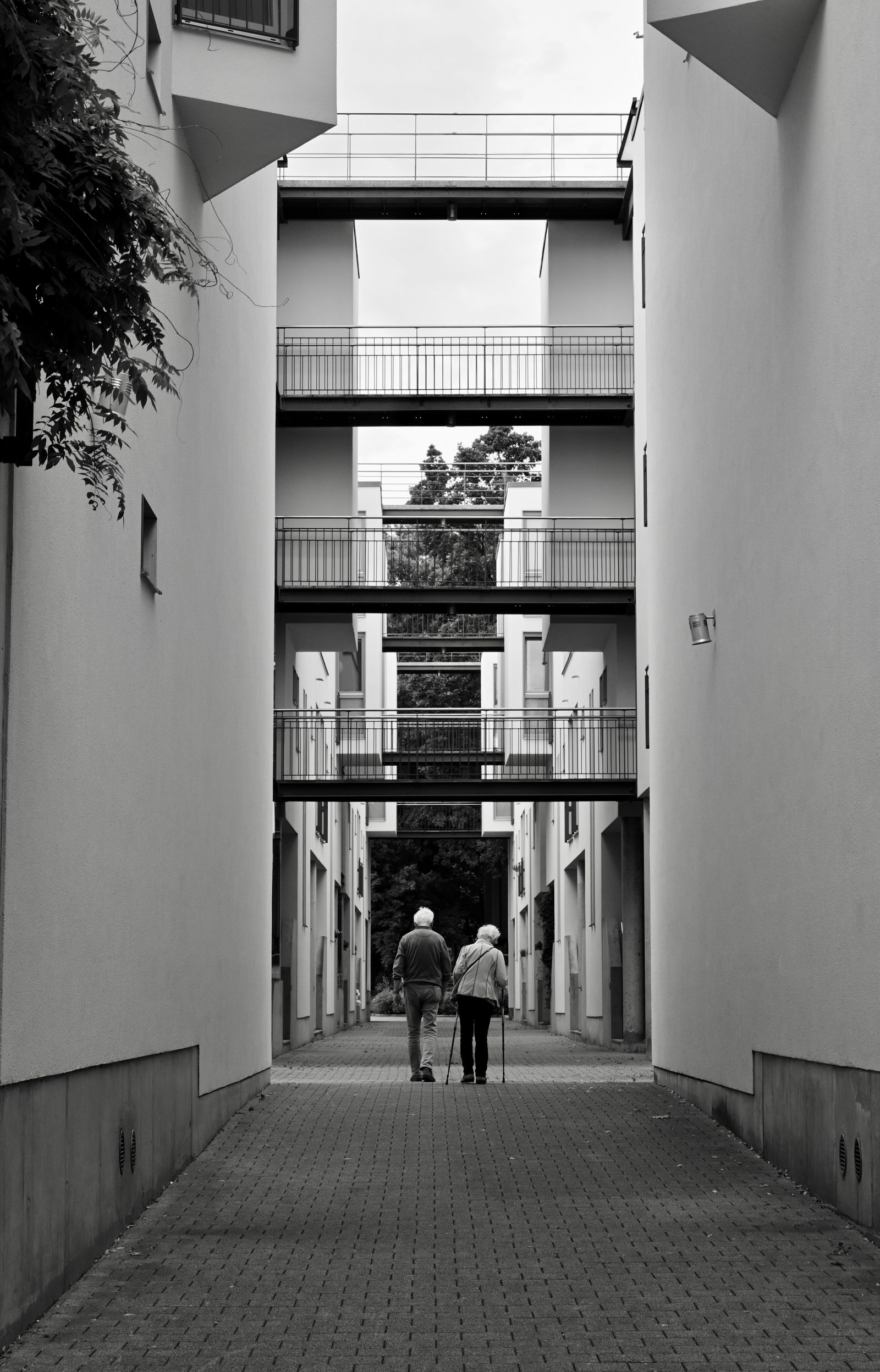 Couple de personnes agees se promenant